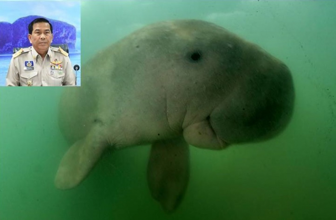 Trang governor vows to fight garbage problem after dugong Mariam’s death Trang governor vows to fight garbage problem after dugong Mariam’s death