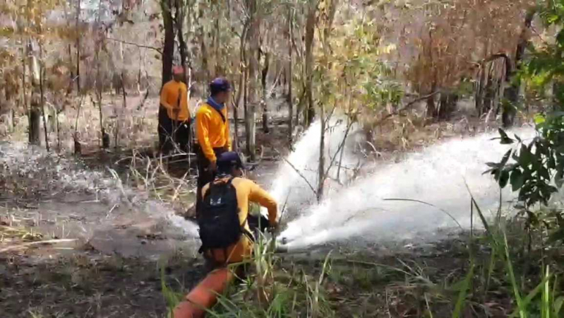 Nakhon Si Thammarat peat forest still smouldering Nakhon Si Thammarat peat forest still smouldering