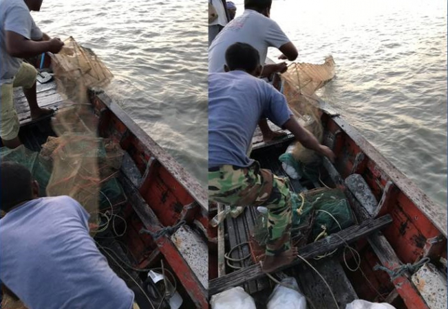 Officials remove illegal fishing traps in shallow waters of Laem Talumpuk Bay Officials remove illegal fishing traps in shallow waters of Laem Talumpuk Bay