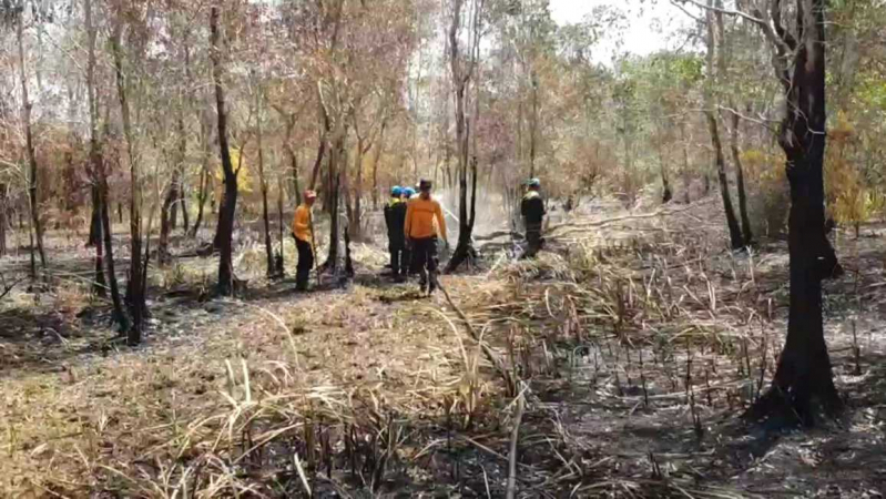 Peat forest fire battle expands to around-the-clock effort Peat forest fire battle expands to around-the-clock effort