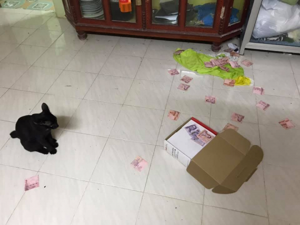 Facebook user thanks cat for unearthing husband’s hidden treasure Facebook user thanks cat for unearthing husband’s hidden treasure