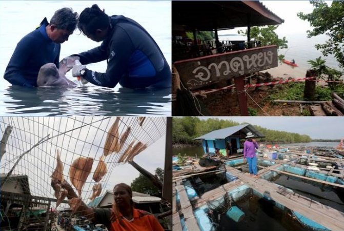 Push for Koh Libong to become Asean conservation model Push for Koh Libong to become Asean conservation model