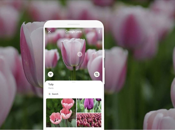 Google Photos can identify text in images Google Photos can identify text in images