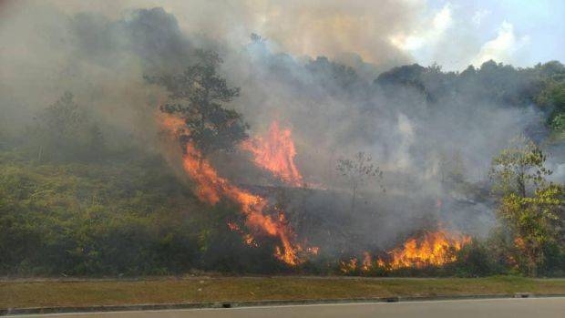 Johor Bomba manages to put out forest fire near Legoland Malaysia, hotel Johor Bomba manages to put out forest fire near Legoland Malaysia, hotel