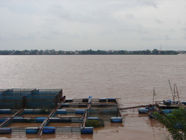 Mukdahan hit by mountain runoff, 10,000 rai of farmland under water Mukdahan hit by mountain runoff, 10,000 rai of farmland under water
