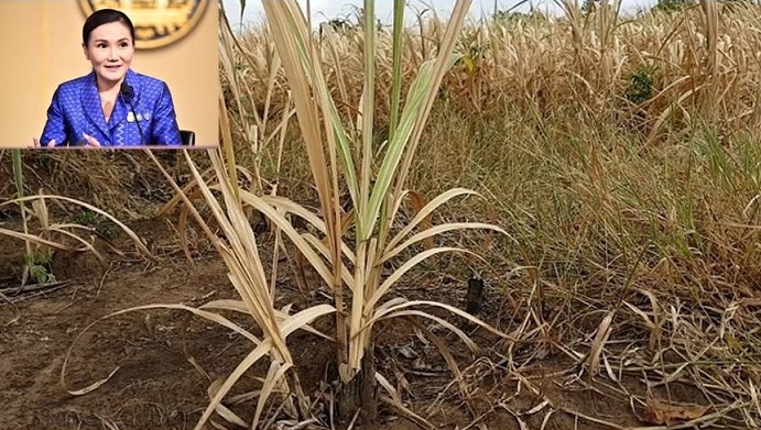 Bt16-million budget set for flood, drought fixes Bt16-million budget set for flood, drought fixes