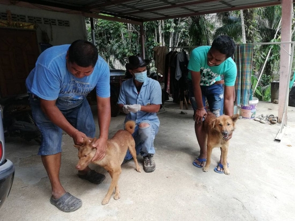 Ten Krabi villagers under watch for possible rabies infection Ten Krabi villagers under watch for possible rabies infection