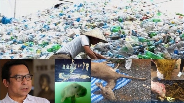 Greenpeace proposes widespread collection fee to drive push against disposables Greenpeace proposes widespread collection fee to drive push against disposables