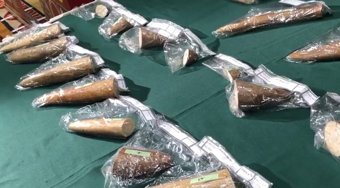 Police boast of success in suppressing illegal ivory trade after Thailand is dropped from CITES list Police boast of success in suppressing illegal ivory trade after Thailand is dropped from CITES list