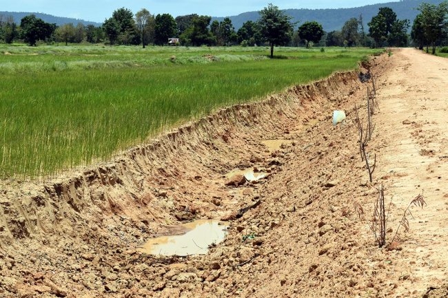 Drought-hit locals face up to ‘invading’ sugar firm governor-led meeting Drought-hit locals face up to ‘invading’ sugar firm governor-led meeting