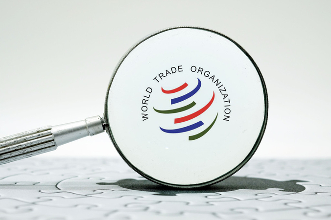 China files case at WTO against US tariffs: MOC China files case at WTO against US tariffs: MOC