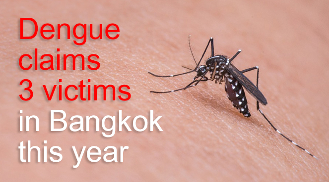 Dengue claims 3 victims in Bangkok this year Dengue claims 3 victims in Bangkok this year