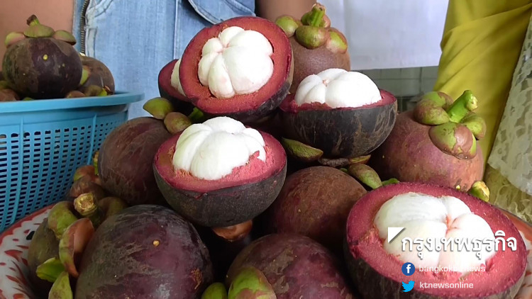 Thai Mangosteen clears Taiwan import hurdle as officials align document language terms Thai Mangosteen clears Taiwan import hurdle as officials align document language terms