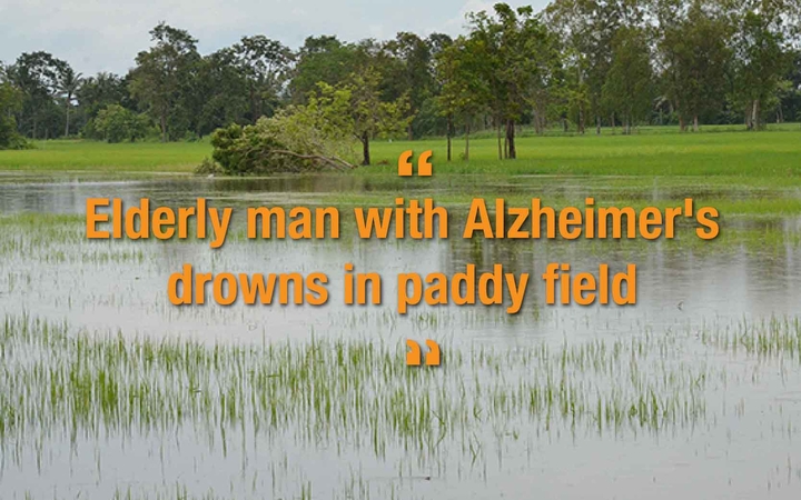 Elderly man with Alzheimer's drowns in paddy field Elderly man with Alzheimer's drowns in paddy field