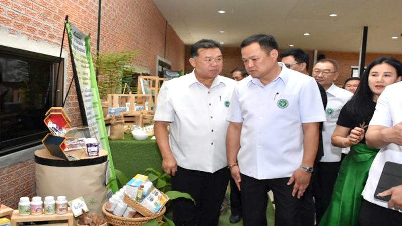 Buri Ram to be a ‘model’ medical marijuana community: Anutin Buri Ram to be a ‘model’ medical marijuana community: Anutin
