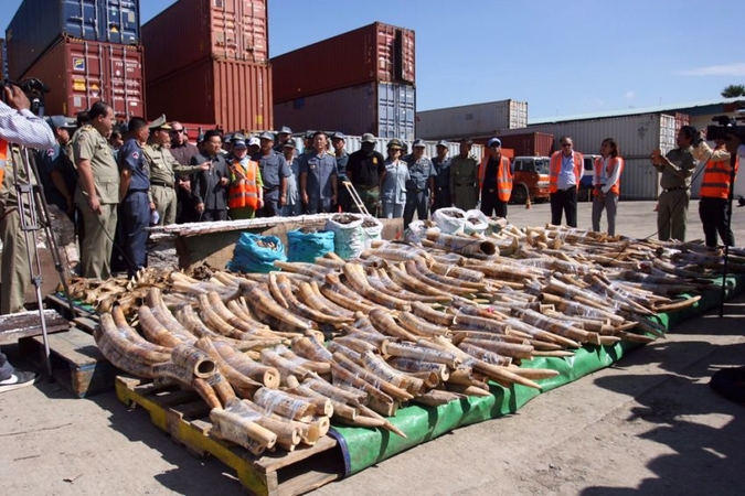 Ministry orders halt to sale of ivory souvenirs Ministry orders halt to sale of ivory souvenirs