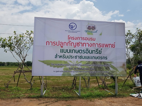 Prachin Buri hospital hosts cannabis growing class for the public Prachin Buri hospital hosts cannabis growing class for the public