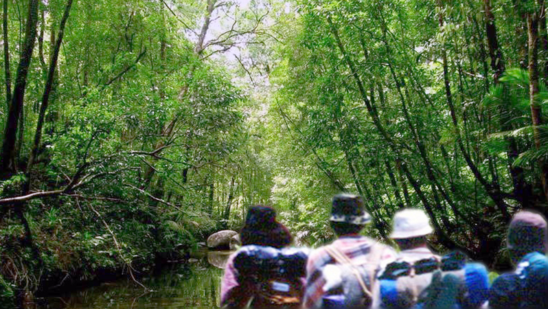 Woman, 72, rescued after spending four nights in Korat forest Woman, 72, rescued after spending four nights in Korat forest