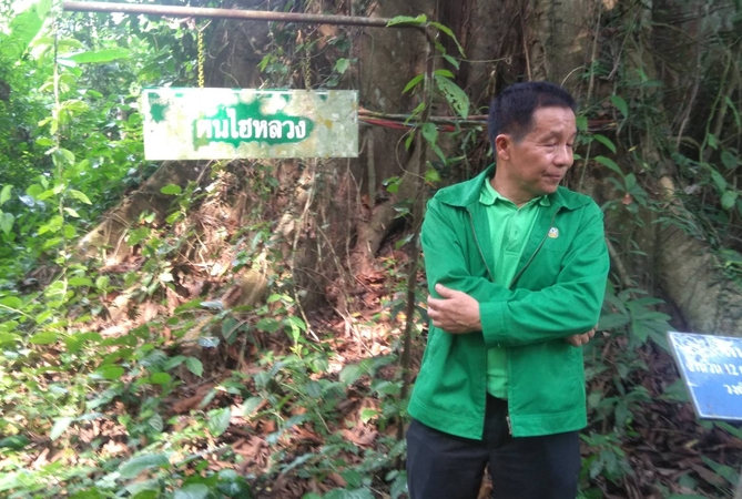 BAAC earmarks Bt5 bn for farmers to grow trees BAAC earmarks Bt5 bn for farmers to grow trees