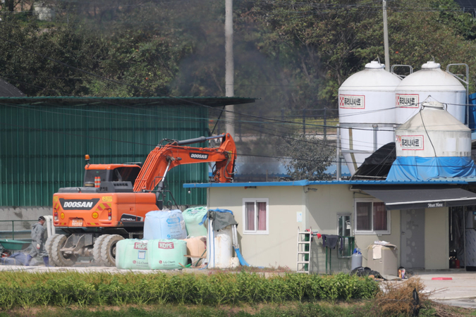 Ninth case of African swine fever confirmed in Ganghwa Ninth case of African swine fever confirmed in Ganghwa