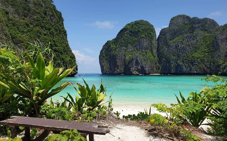 Maya Bay 'well on the road to recovery' Maya Bay 'well on the road to recovery'