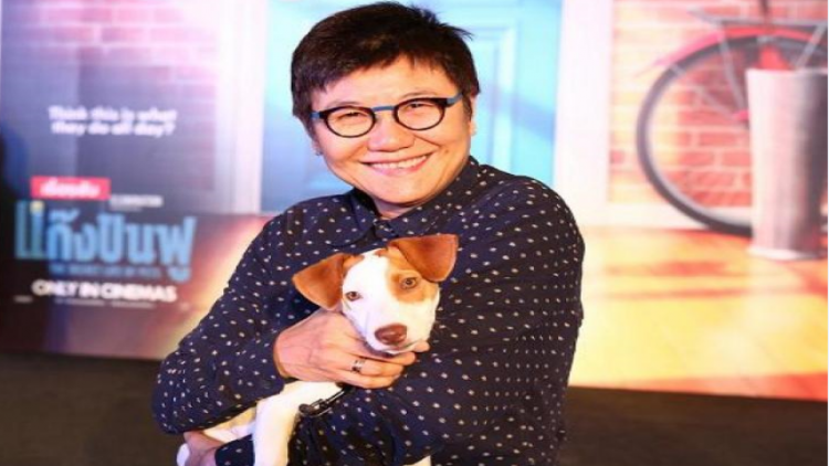 Pet business reaches Bt40 billion as people indulge their darlings Pet business reaches Bt40 billion as people indulge their darlings