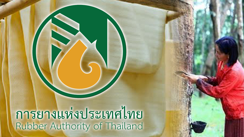 Rubber Authority, TTCL sign MoU on management project under international guidelines Rubber Authority, TTCL sign MoU on management project under international guidelines