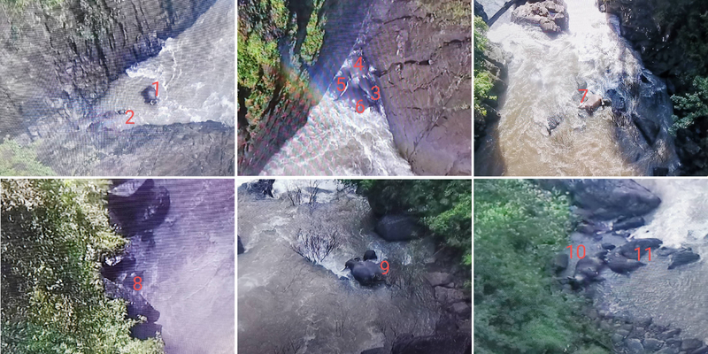 11 elephants died, 2 survived Khao Yai waterfall 11 elephants died, 2 survived Khao Yai waterfall