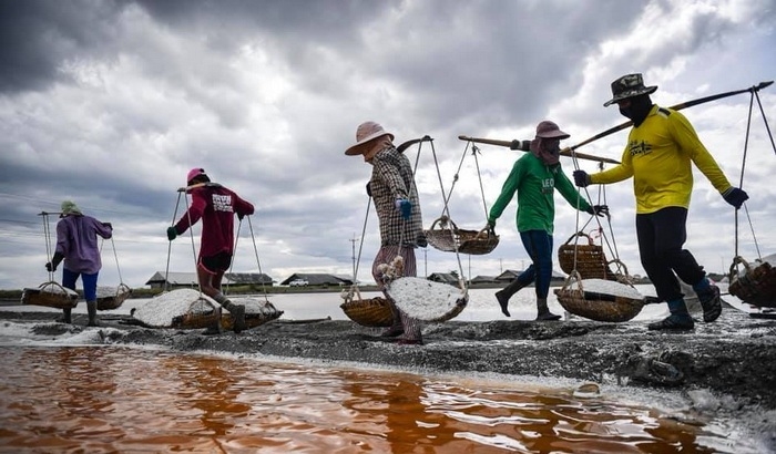 Weather hampers bid to improve Thai salt quality Weather hampers bid to improve Thai salt quality