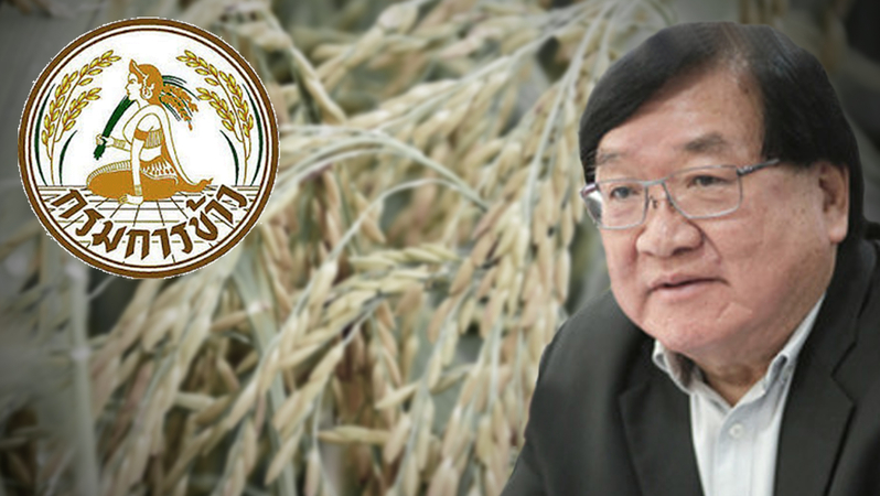Rice Department readies seeds for flood/drought affected farmers Rice Department readies seeds for flood/drought affected farmers
