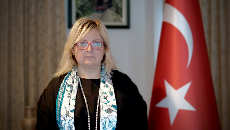 News of civilians killed fake, claims Turkish ambassador News of civilians killed fake, claims Turkish ambassador