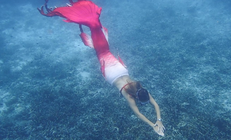 Volunteers take a dive – to clean Similan ocean Volunteers take a dive – to clean Similan ocean