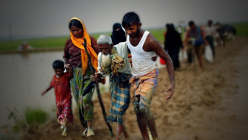 US wants postponement of Rohingya relocation to Bhashan Char US wants postponement of Rohingya relocation to Bhashan Char