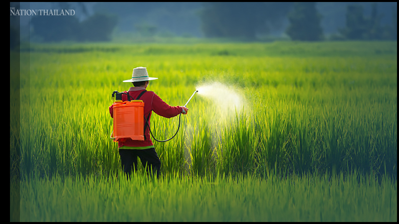 US urges Thailand to reconsider proposed ban on weed-control chemical US urges Thailand to reconsider proposed ban on weed-control chemical