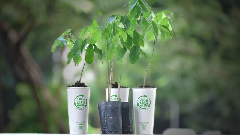 CU develops zero-waste paper cups to be used as seed pots CU develops zero-waste paper cups to be used as seed pots