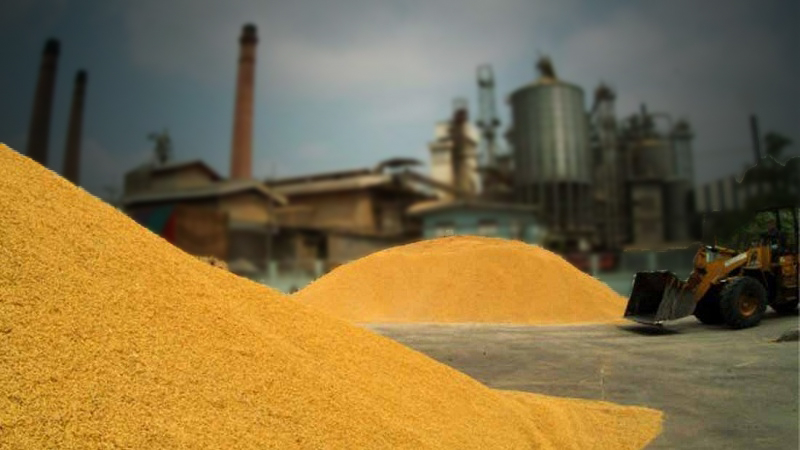 Rice spat with Philippines patched up Rice spat with Philippines patched up