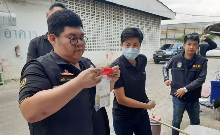 Special team checks pigs for growth accelerating chemical Special team checks pigs for growth accelerating chemical