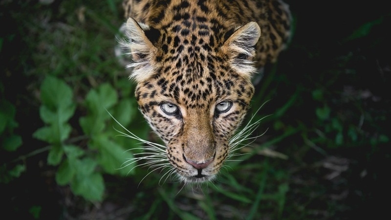 Environmental Enforcement Awards winners announced Environmental Enforcement Awards winners announced