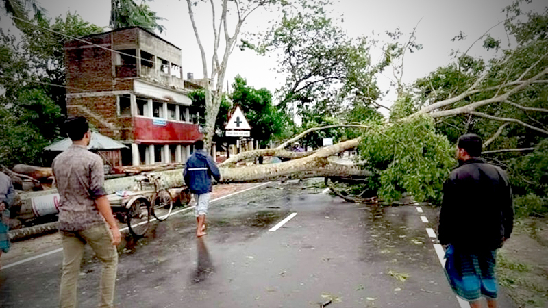 Cyclone Bulbul claims 7 lives in Bangladesh Cyclone Bulbul claims 7 lives in Bangladesh