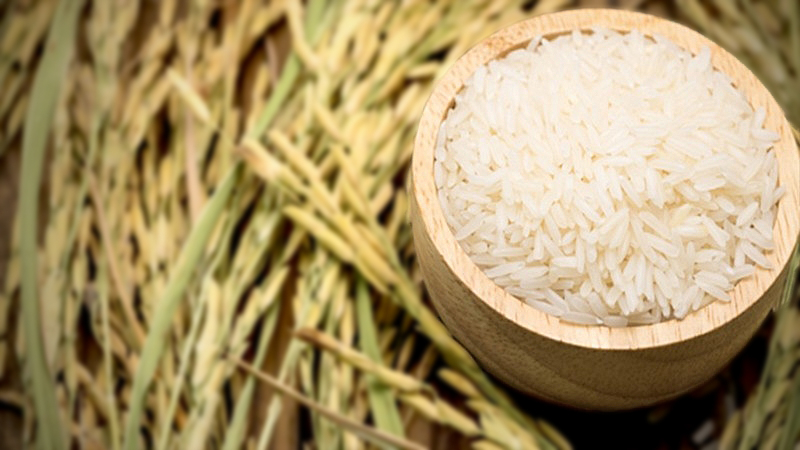 Philippines is world’s biggest rice importer for 2019 Philippines is world’s biggest rice importer for 2019