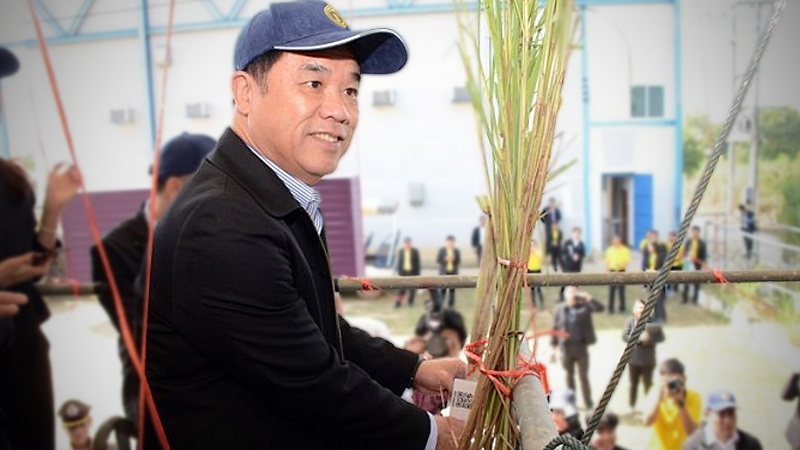 Sugarcane breeding gets a push Sugarcane breeding gets a push