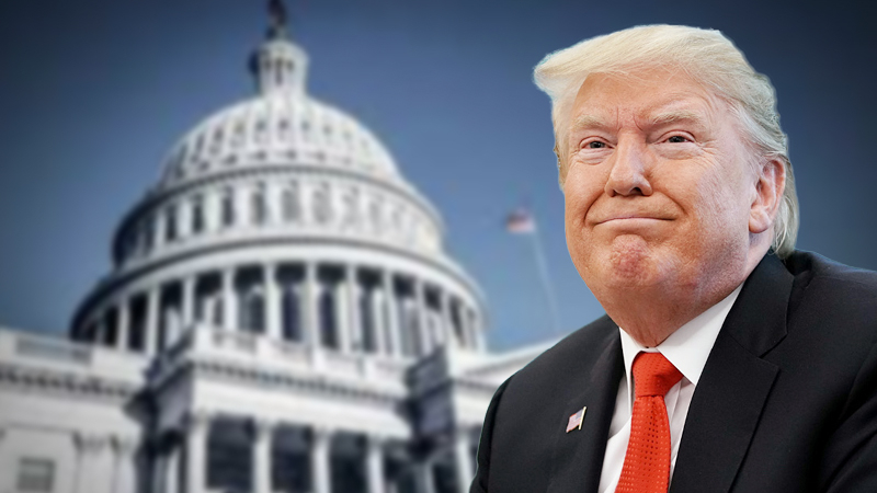 Attacking witnesses is Trump's core defense strategy in fighting impeachment Attacking witnesses is Trump's core defense strategy in fighting impeachment