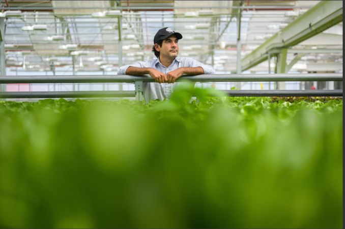 Indoor farming is one of the decade's hottest trends, but regulations make success elusive Indoor farming is one of the decade's hottest trends, but regulations make success elusive