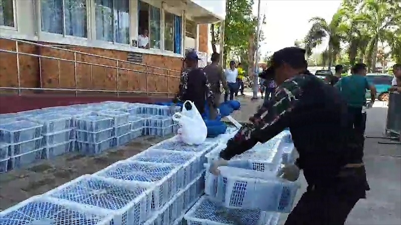 ‘Feast’ of Thai wildlife seized at Cambodia border ‘Feast’ of Thai wildlife seized at Cambodia border