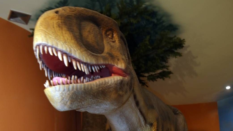 Fossils of 12th dinosaur species found in Nakhon Ratchasima Fossils of 12th dinosaur species found in Nakhon Ratchasima