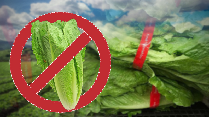 Don't eat romaine lettuce from California's Salinas Valley, CDC warns Don't eat romaine lettuce from California's Salinas Valley, CDC warns