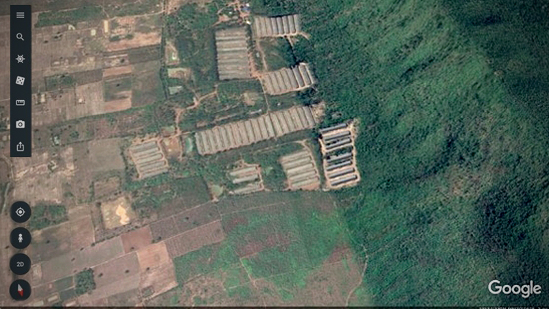 Forest Department to sue Pareena for encroachment Forest Department to sue Pareena for encroachment