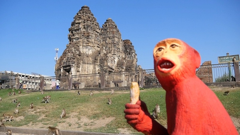 Monkey see, monkey do, monkey eat Monkey see, monkey do, monkey eat