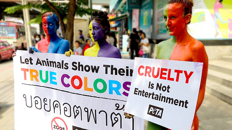 PETA targets Pata Zoo PETA targets Pata Zoo