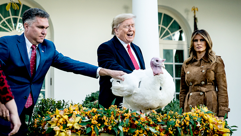 TURKEY-PARDON-ANALYSIS : Trump keeps tradition of pardoning turkey TURKEY-PARDON-ANALYSIS : Trump keeps tradition of pardoning turkey